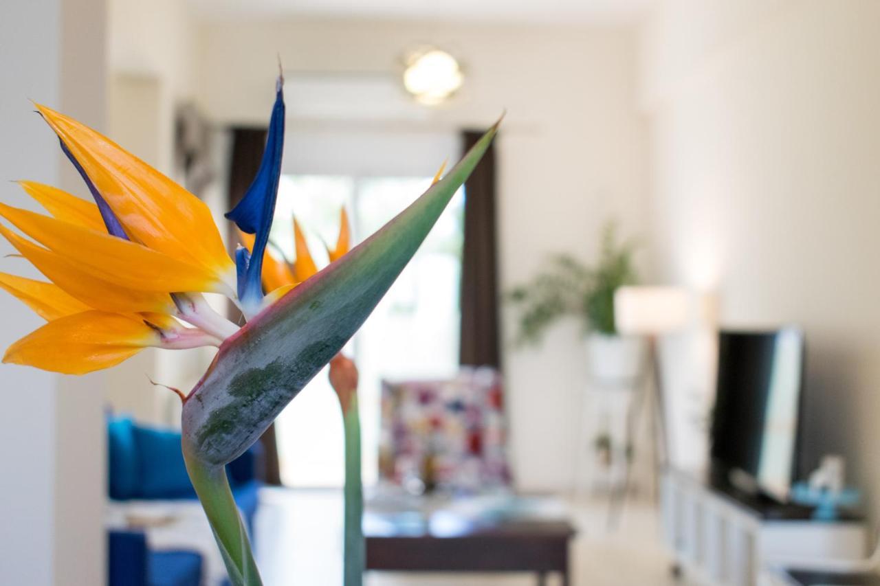 Blue Iris: Stylish Apartment Just 10 Minutes Walk From Old Town Chania Chania  Exterior foto